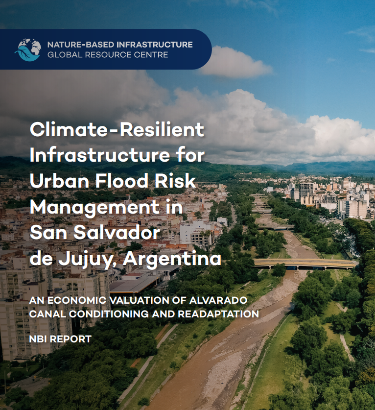 Climate-Resilient Infrastructure for Urban Flood Risk Management in San Salvador de Jujuy, Argentina